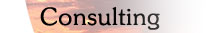 consulting