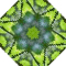 Leaves & lattice