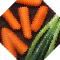 Veggies